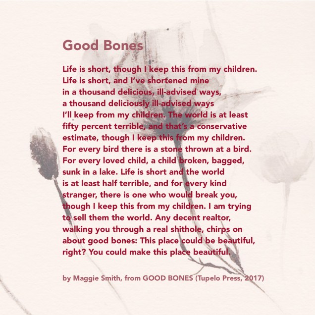 07E56A4B-F5A8-4CBE-88B6-C9B8B826305D